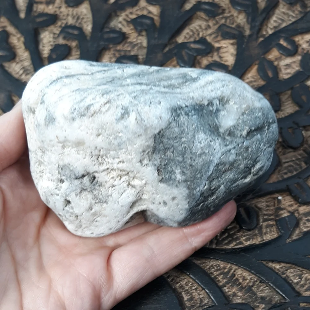 Maine Mottled Stone East Coast Lucky Beach Rock Raw Mineral Specimen Gray White